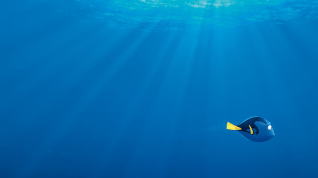 Blue fish sunbeam yellow fin free wallpaper - medium preview image