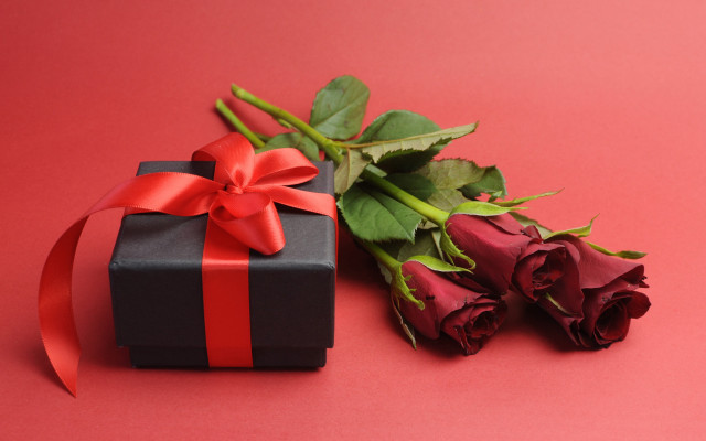 Black box red ribbon rose #2 free wallpaper - medium preview image