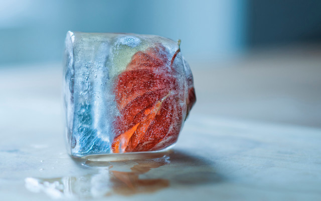 Glass ice fruit table water free wallpaper - medium preview image