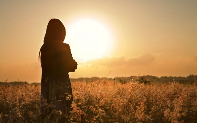 Woman field sunset backlighting cloud free wallpaper - medium preview image