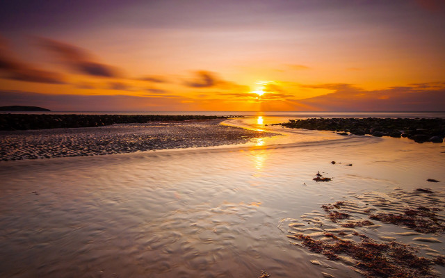 Sunset beach water bird rocky free wallpaper - medium preview image