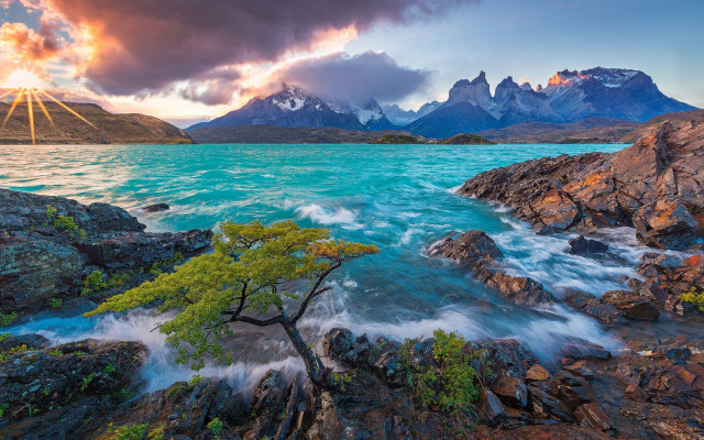 Tree water rocks mountains sunset free wallpaper - medium preview image