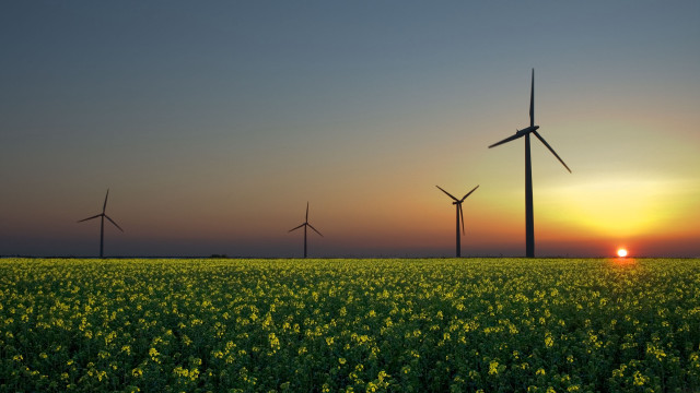 Yellow flowers windmills sunset sky free wallpaper - medium preview image