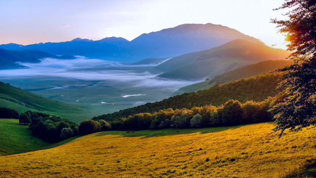 Grassy field mountain valley trees #2 free wallpaper - medium preview image