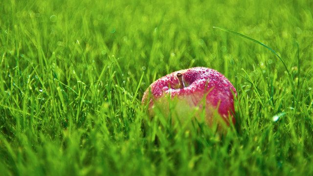 Pink apple green field bite free wallpaper - medium preview image