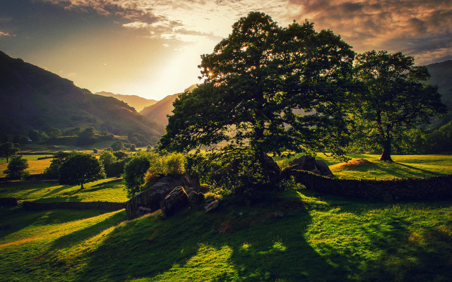 Tree field mountains sunset nature #2 free wallpaper for desktop - medium preview image