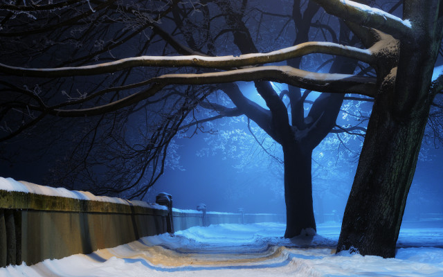 Snowy path park bench night free wallpaper - medium preview image