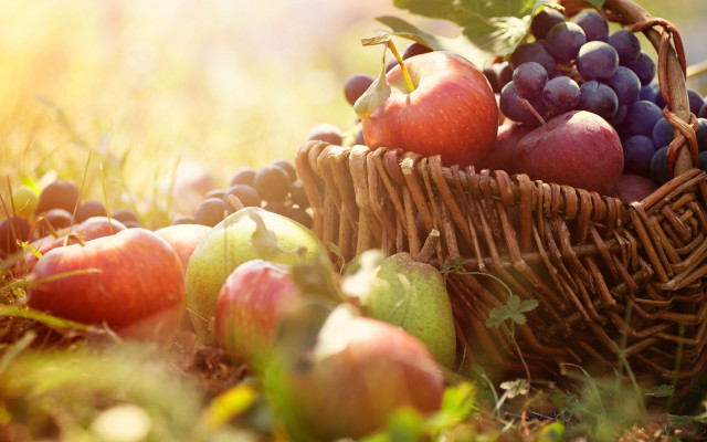 Harvest grapes apples berries leaves free wallpaper - medium preview image