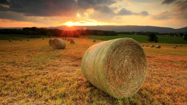 Hay bales sunset clouds field #3 free wallpaper - medium preview image