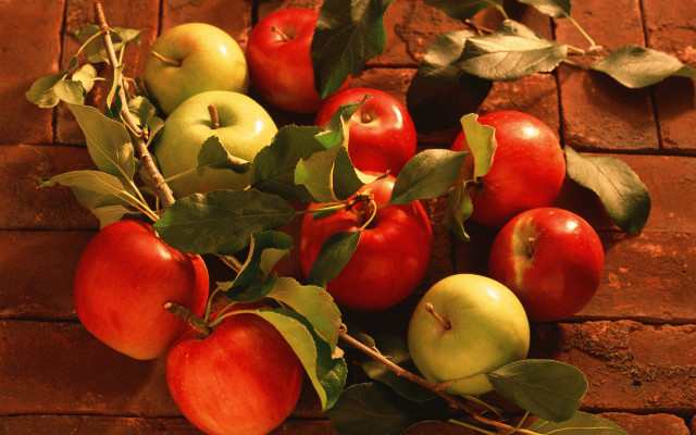 Apples brick floor leaves folk free wallpaper - medium preview image