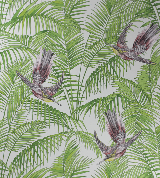 Bird palm leaves flying nature free wallpaper - medium preview image