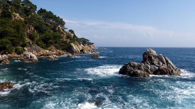 Rocky cliff water tree mountains free wallpaper - medium preview image