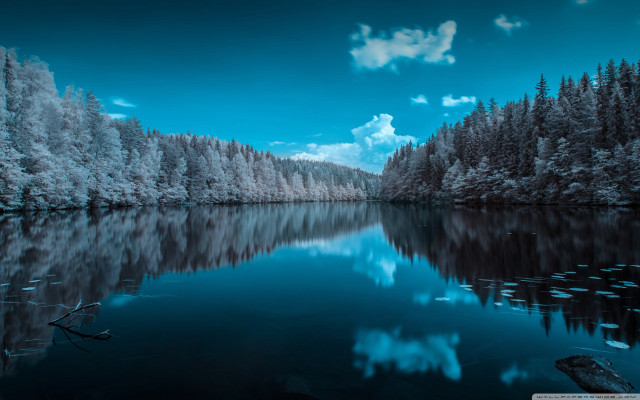 Lake trees forest snow night free wallpaper - medium preview image