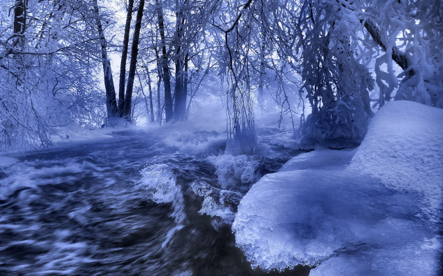 Winter forest stream moon cherry free wallpaper - medium preview image
