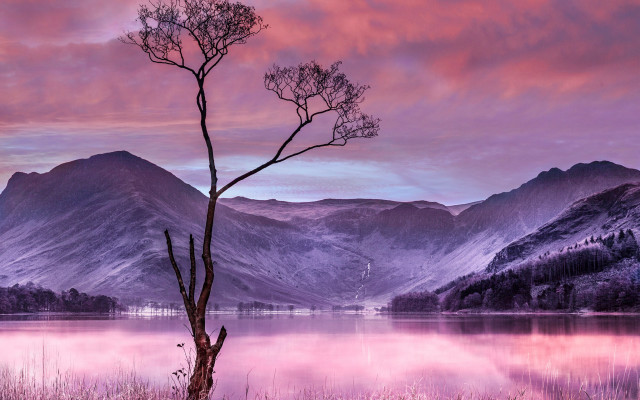 Tree lake mountains sunset reflection free wallpaper - medium preview image