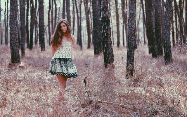 Woman field tallgrass forest cherryblossoms free wallpaper - medium preview image