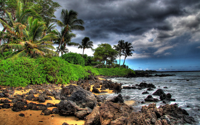 Beach rocks palm trees stormy free wallpaper - medium preview image