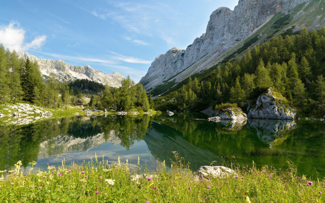 Mountain lake forest bush sky free wallpaper - medium preview image