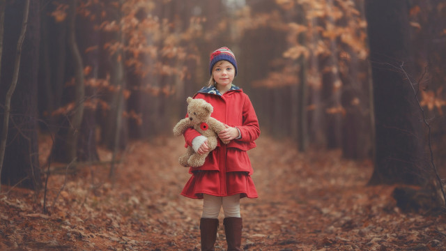Little girl teddy bear forest free wallpaper - medium preview image