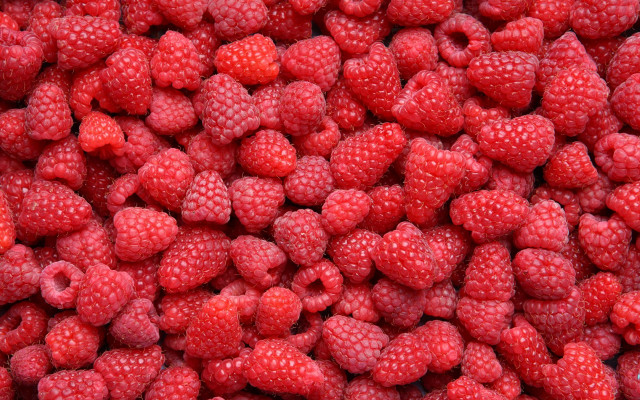 Raspberries water droplets red background free wallpaper - medium preview image