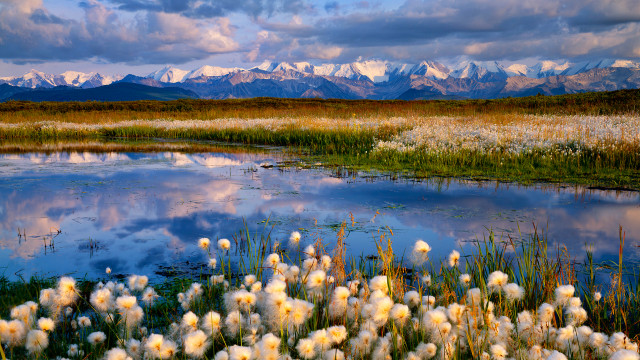 Lake mountains clouds flower sunset free wallpaper - medium preview image