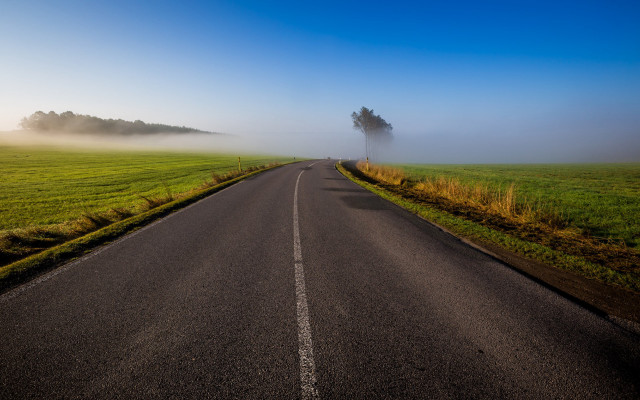 Road tree field fog landscape free wallpaper - medium preview image