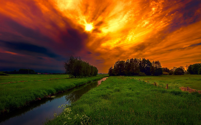 Sunset grassy field river trees free wallpaper - medium preview image