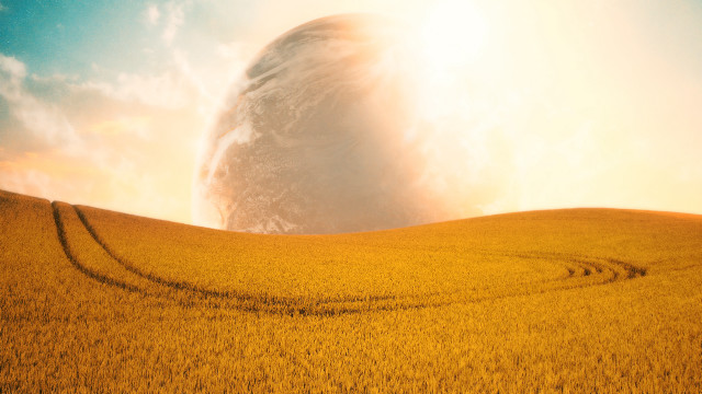 Yellow field cloud evening mountain free wallpaper - medium preview image