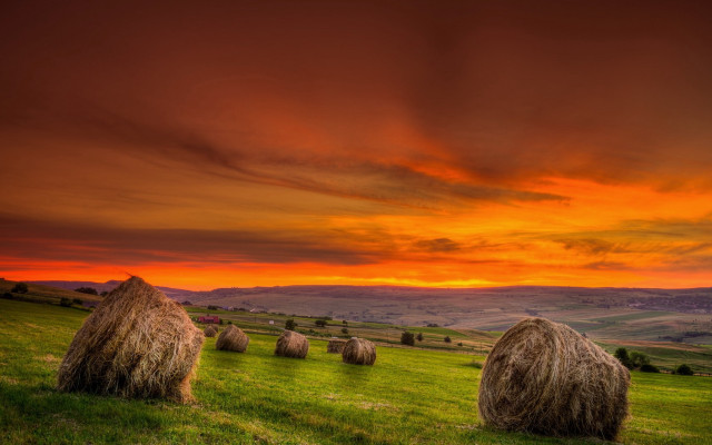 Haybales sunset field bush ocean free wallpaper - medium preview image