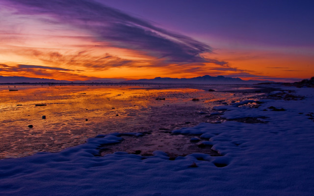 Sunset beach rocks birds dusk free wallpaper - medium preview image
