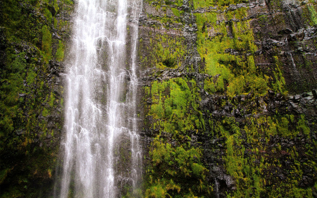 Waterfall forest boat nature impressionist free wallpaper - medium preview image