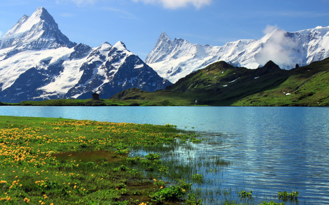 Mountain lake field flowers sky free wallpaper - medium preview image