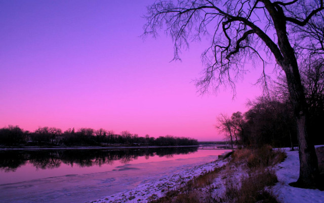 River tree purple sky sunset free wallpaper - medium preview image