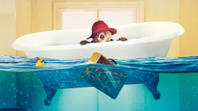 Dog hat bathtub rubberduck splash free wallpaper - medium preview image
