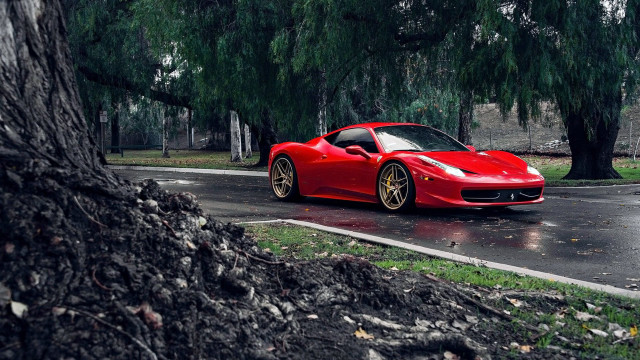 Red sports car wet road #4 free wallpaper - medium preview image