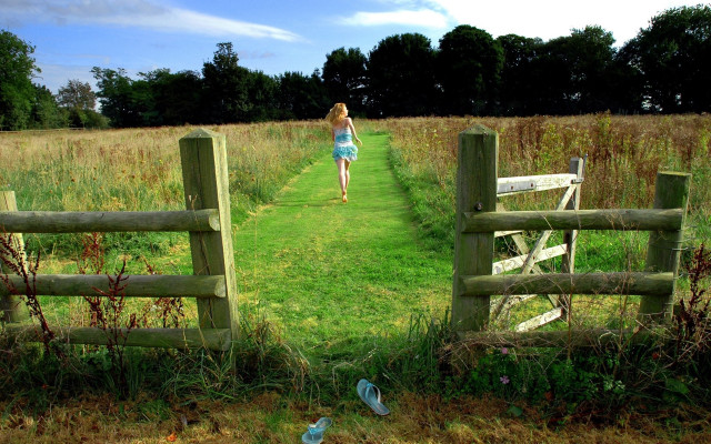 Woman field gate bench bird free wallpaper for desktop - medium preview image