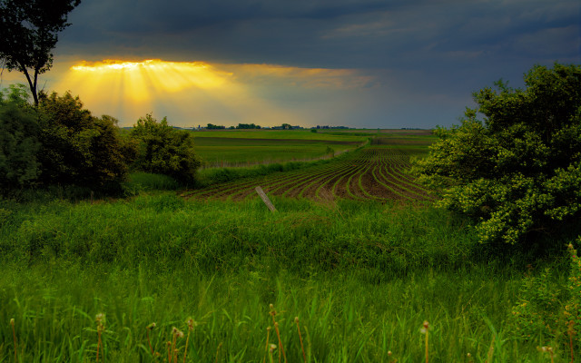 Sunbeam grass fence trees mountain free wallpaper - medium preview image