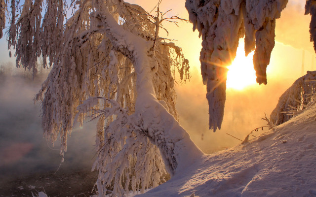 Sunshine clouds snow trees mountain free wallpaper - medium preview image