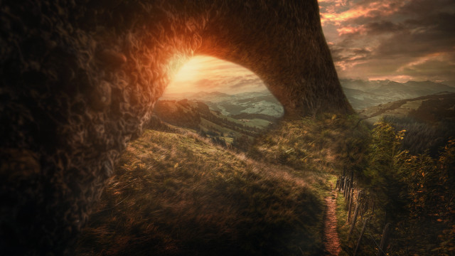 Large tree tunnel in trunk free wallpaper - medium preview image
