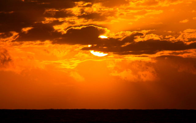Surfboard sunset water clouds dragonfly free wallpaper - medium preview image