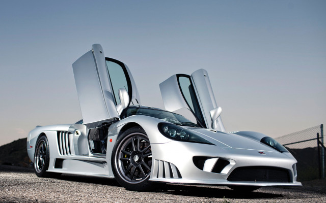 Silver sports car open doors #6 free wallpaper - medium preview image