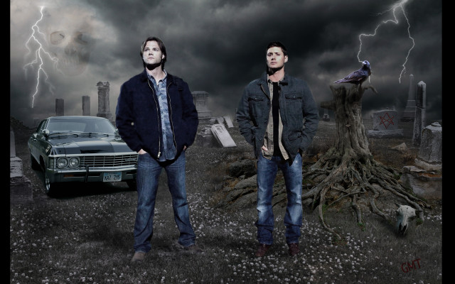 Two men car tree bird free wallpaper - medium preview image