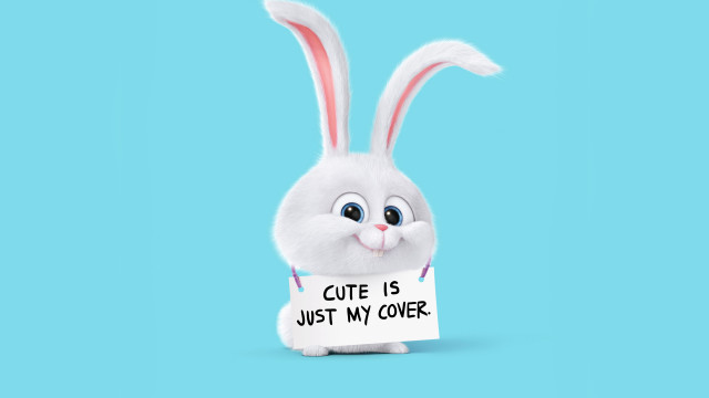 White bunny cute sign blue free wallpaper for desktop - medium preview image