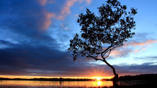 Sunset lake tree boat clouds free wallpaper - medium preview image