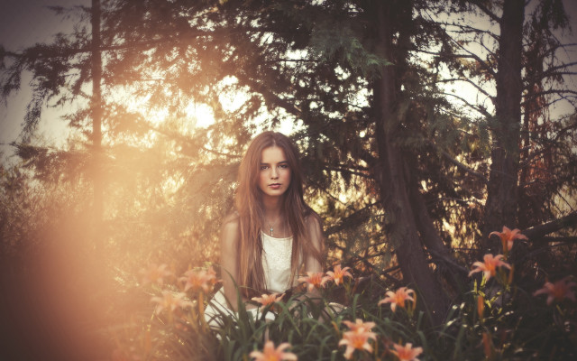 Woman flowers autumn bush portrait free wallpaper - medium preview image