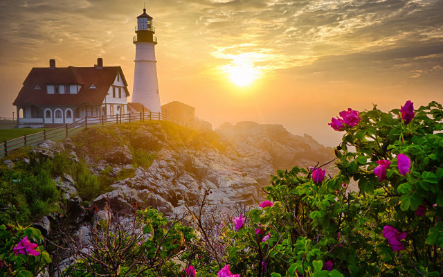 Lighthouse rockycliff sunset flowers house free wallpaper - medium preview image