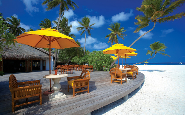 Wooden deck beach palm trees free wallpaper - medium preview image