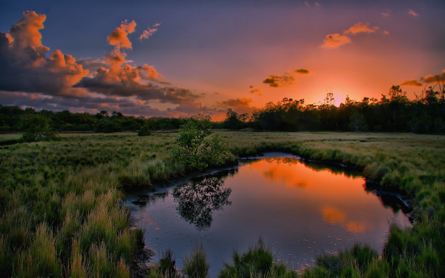 Sunset pond field trees clouds free wallpaper - medium preview image