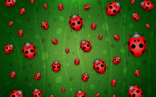 Ladybugs green spotted surface flower free wallpaper - medium preview image