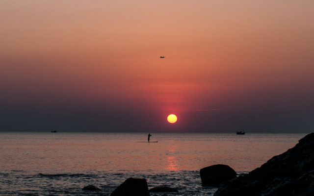Surfing sunset ocean bird boat free wallpaper - medium preview image